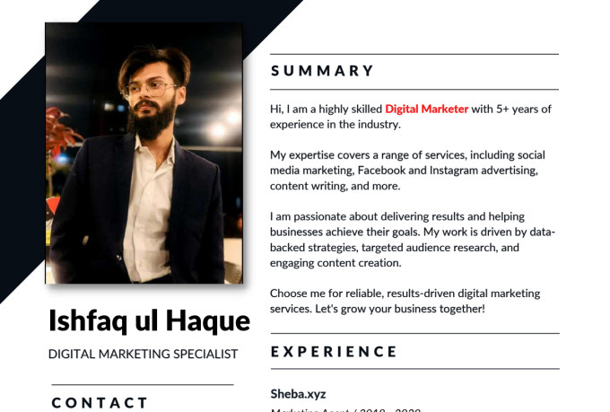 develop a fast and professional wordpress website